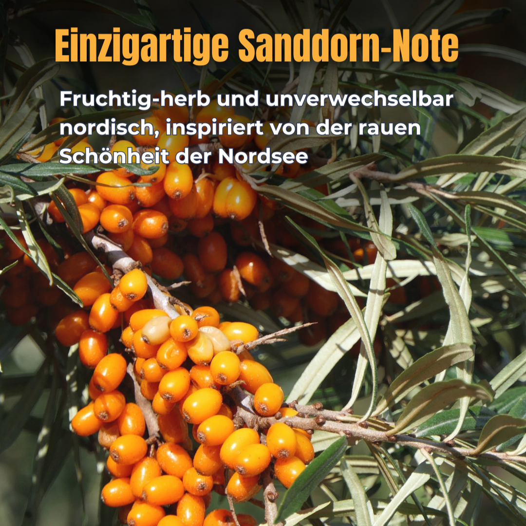 Duala Sanddorn-Gin 500ml